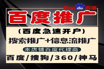 SEM公司广告策略案例：如何实现ROI最大化